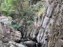 -洪崖丹井