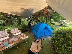 -铁山坪森林公园