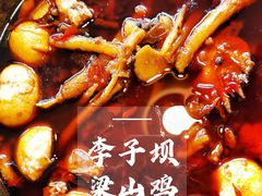 李子坝梁山鸡(红汤药膳麻辣味）-李子坝梁山鸡(李子坝大鸡哥店)