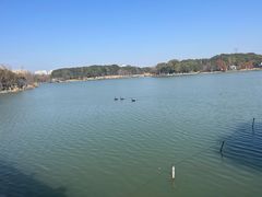 -昆山城市生态森林公园