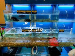 水产区-阿马蛋汤·宁波小海鲜(总店)