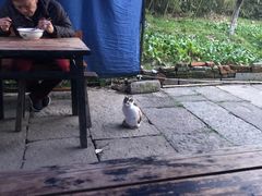 -小河无名面馆