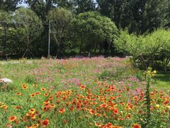 -永定河休闲森林公园