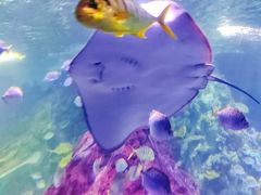 -北海海底世界
