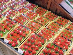 -果蔬好生活超市(乐堤港店)