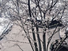-堤角公园