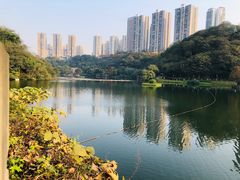 -重庆彩云湖湿地公园
