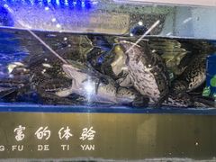 -永辉超市(鲁谷店)