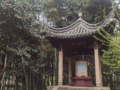 -兰亭风景区