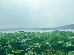 -湖畔居茶楼(湖滨店)