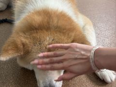 -YCHL Studios健身工作室(市二宫店)