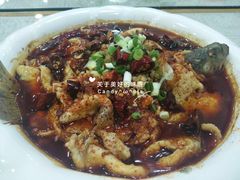 -辣四方新派川菜