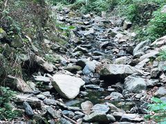 -素山寺森林公园