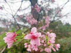 -华农酸奶文化馆