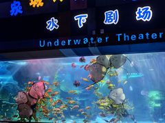 -泉城欧乐堡海洋极地世界