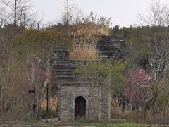 -广富林郊野公园