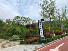 -铁山坪森林公园