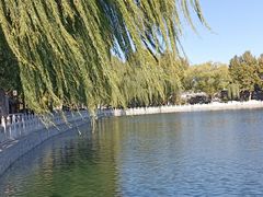 -后海公园