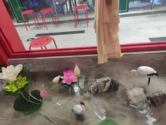 -禧鳳記·猪肚鸡火锅(玖洲道店)