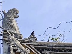 -西园戒幢律寺