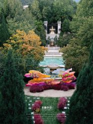 -美薇亭婚礼顾问