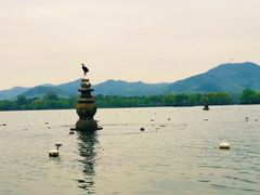 -西湖外事游船(花港观鱼码头)