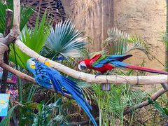 -杭州开元森泊度假乐园