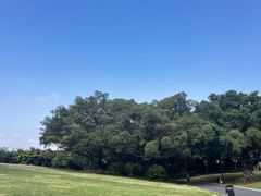 -南宁南湖公园