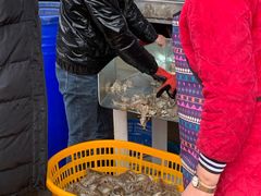 -海峡水产品交易中心(海鲜交易区)