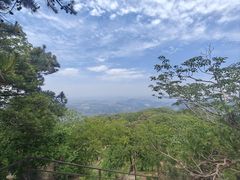 -沂蒙山旅游区云蒙景区(蒙山国家森林公园)