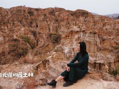 -元谋土林景区(物茂土林)
