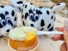 -CREAM STORY意大利手工冰淇淋&甜品(万象前海店)