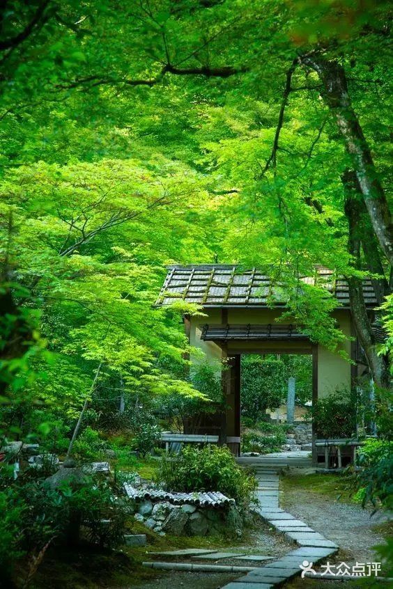 日式禅意庭院 | 走进，找到自己心灵的归宿[糖果]