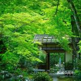 日式禅意庭院 | 走进，找到自己心灵的归宿[糖果]
