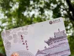 -武汉大学-樱园