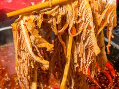 -蜀大侠火锅(总府路店)