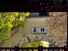 -乌村