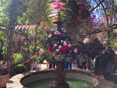 -The Grounds of Alexandria
