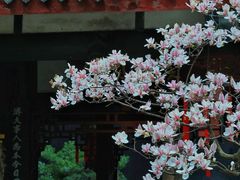 -成都武侯祠博物馆