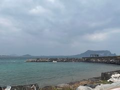 -涉地可支