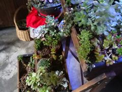 -臻味私厨(国际社区店)