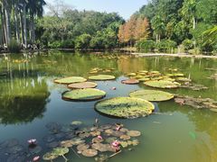 -中国科学院西双版纳热带植物园