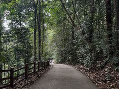 -武吉知马自然保护区