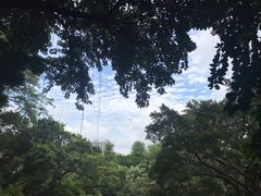 -晓港公园