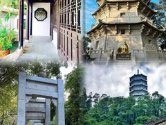 -深圳国际园林花卉博览园