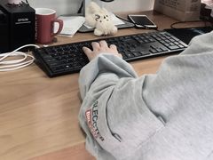 -小树照相馆·证件照(打浦桥店)