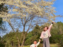 -铁山坪森林公园