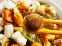 -清真·刘老虎肉丸糊辣汤(北郊分店)