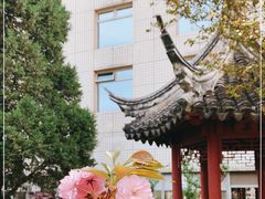 -九献创意菜·牛排馆(亮马河花园店)