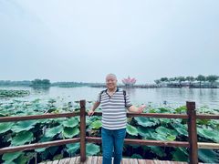 -白洋淀景区